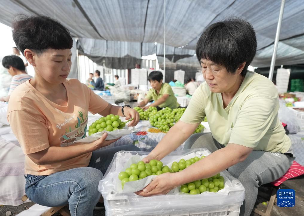 点球大战大比分